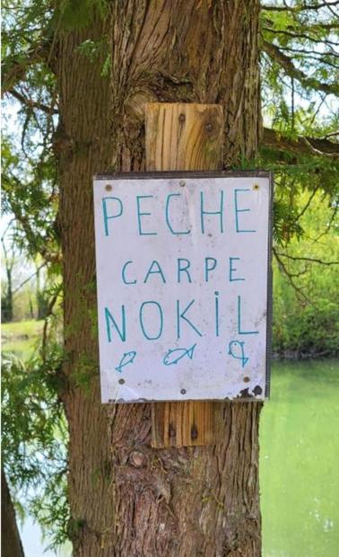 Mobil Home 5Pers Proche Europa Park Dans Camping 3Etoiles Boofzheim Εξωτερικό φωτογραφία