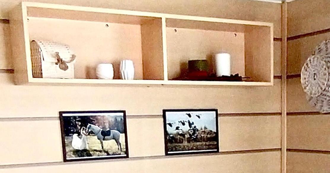 Mobil Home 5Pers Proche Europa Park Dans Camping 3Etoiles Boofzheim Εξωτερικό φωτογραφία